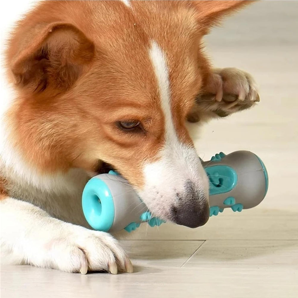 Dog Toothbrush Rubber Bone Chew Toy