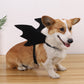 Pet Halloween Costume Bat Wings Black Bat Wings for Cat Dog Puppy