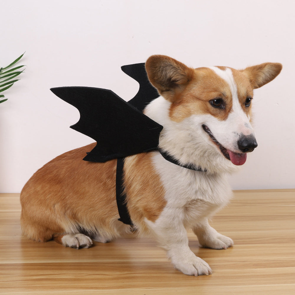 Pet Halloween Costume Bat Wings Black Bat Wings for Cat Dog Puppy