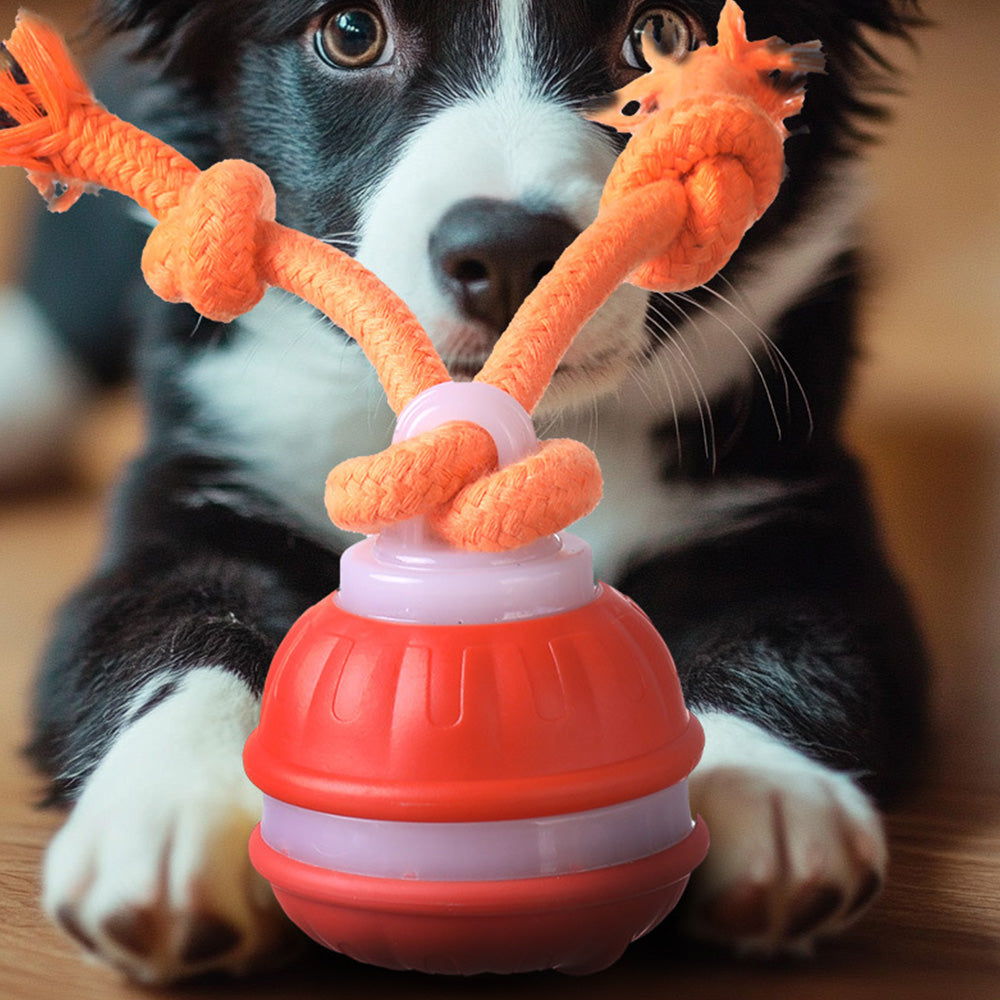 Interactive Dog Ball Toy Electronic Rolling Ball Rope Chew Toy