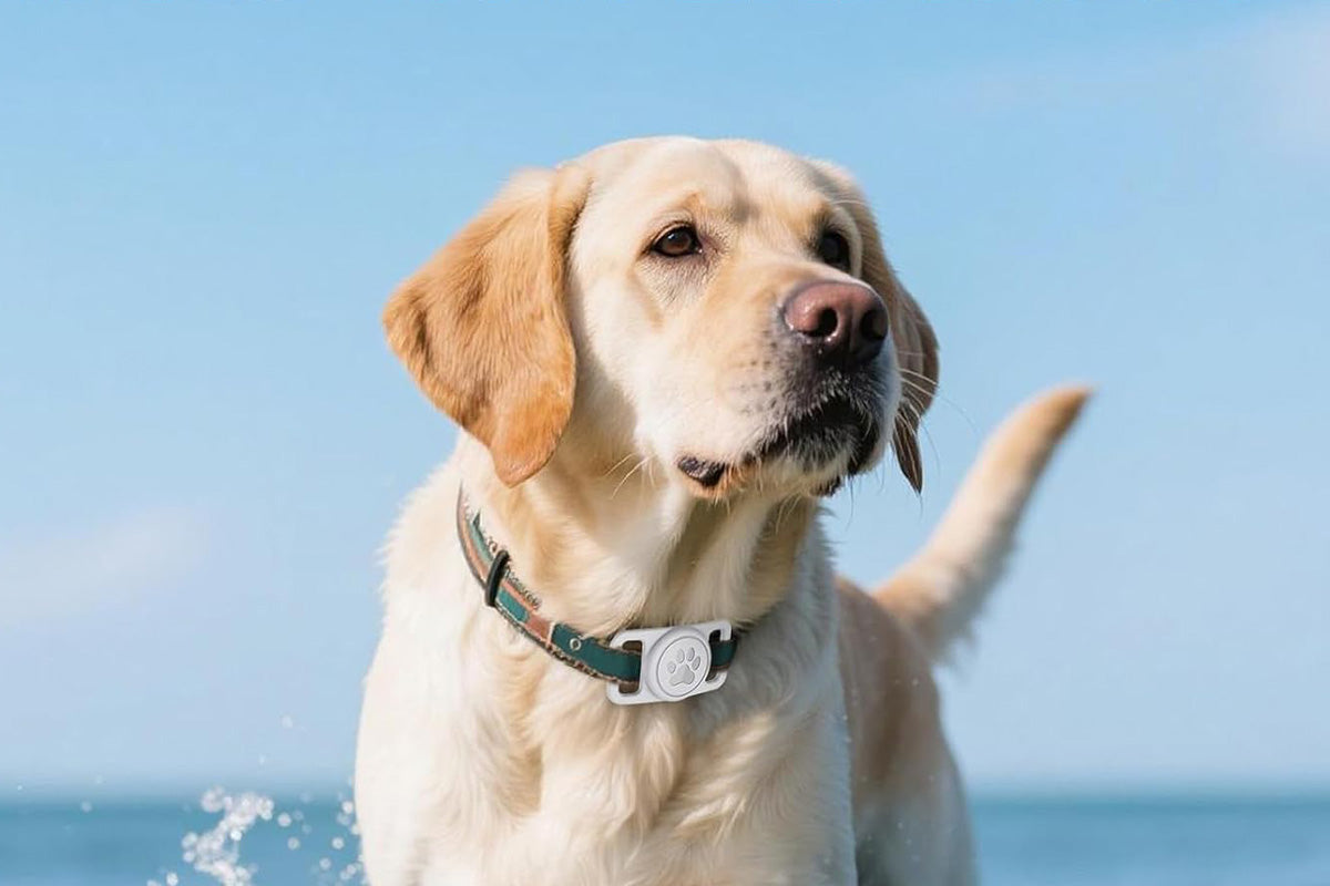 2Pcs Waterproof Dog Collar Holder for Apple AirTag Silicone Air Tags Case