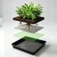 10 Pack Seedling Tray Fine Holes Plant Propagation Seedling Hydroponic Square