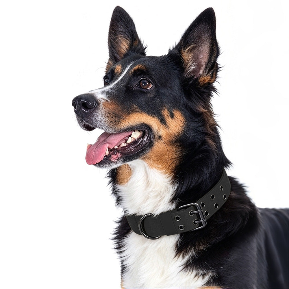Adjustable Padded Nylon Dog Collar and Leash Set for Large Dogs-Black