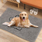 43x61cm Pet Dog Highly Absorbent Chenille Door Mat