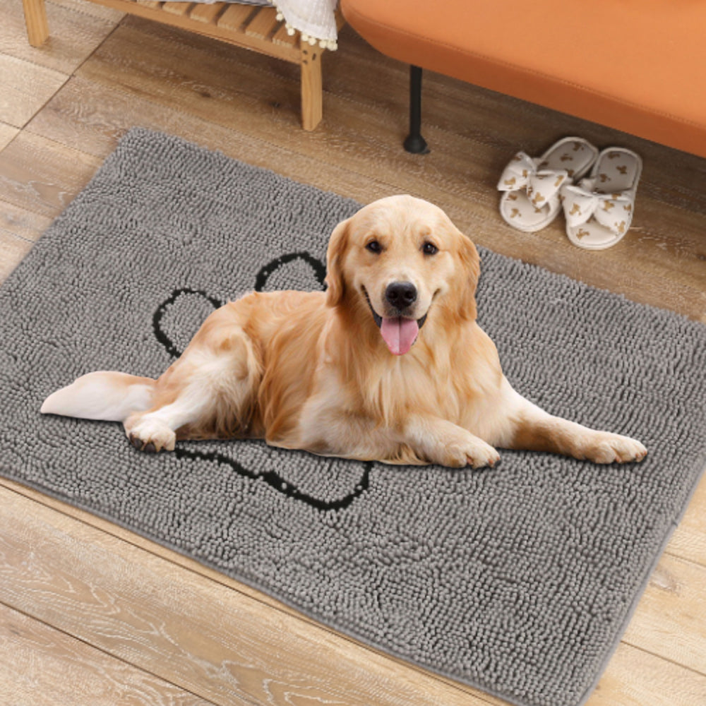 43x61cm Pet Dog Highly Absorbent Chenille Door Mat