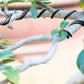 2 Rolls Anodized Aluminum Bonsai Training Wires