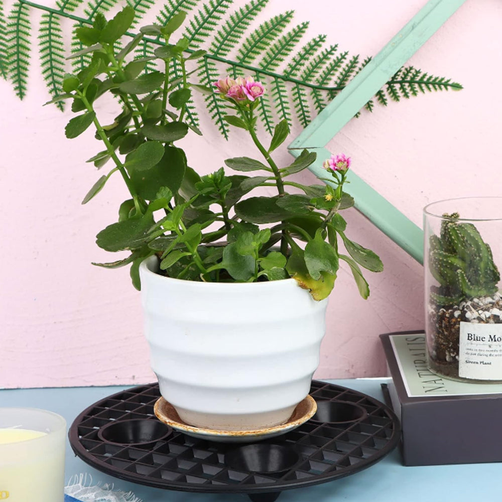 10Pcs Elevator Plant Pot Saucer