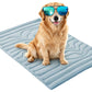 Scratch Resistant Summer Cooling Mat for Pet