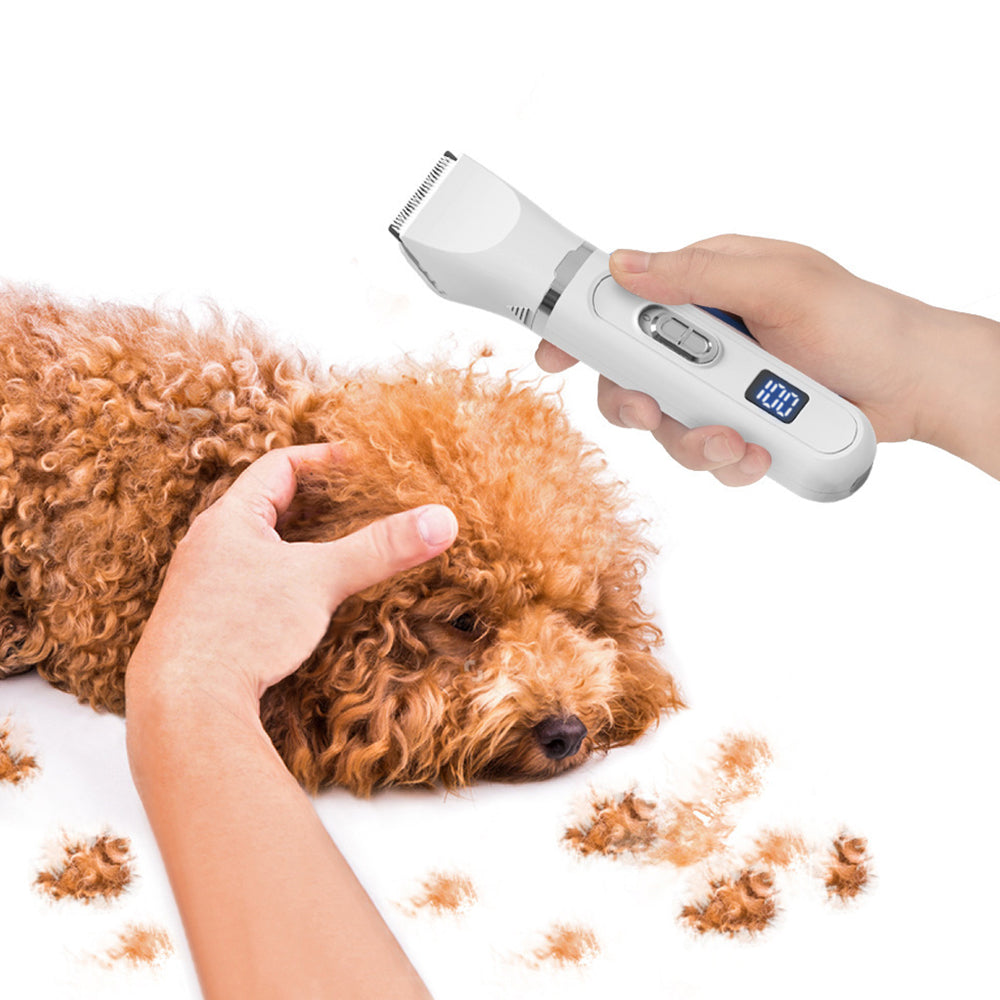 Electric Pet Hair Trimmer Kit