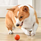 Pet Rolling Jumping Bouncing Ball Automatic Rolling Ball Toys