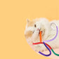 3Pcs Cat Teeth Grinding Rope Kitten Rope
