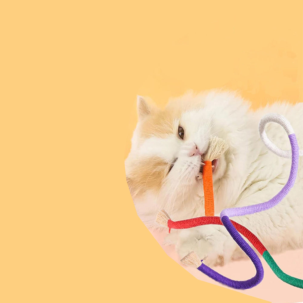 3Pcs Cat Teeth Grinding Rope Kitten Rope