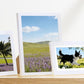 15 Piece Picture Frame Set Multi-size Collage Photo Frames for Wall or Tabletop Display