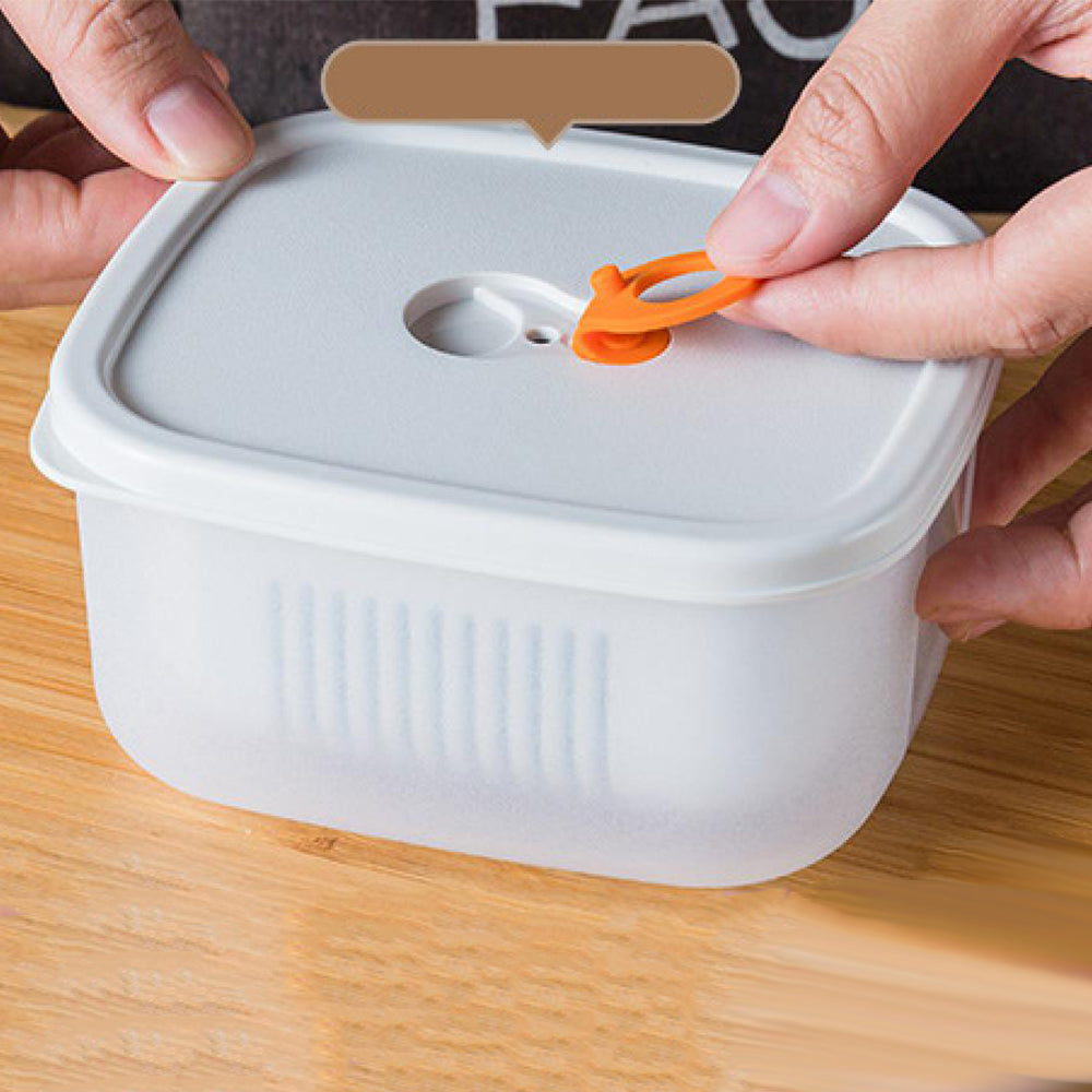 Food Storage Drain Containers with Lids and Ventilation Holes