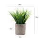3Pcs Mini Potted Artificial Plastic Green Plants