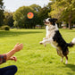 Interactive Dog Ball Toy Smart Moving Bouncing Dog Ball with LED Lights for Dogs Puppies