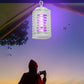 2Pcs Electric Mosquito Killer Lamp LED Light