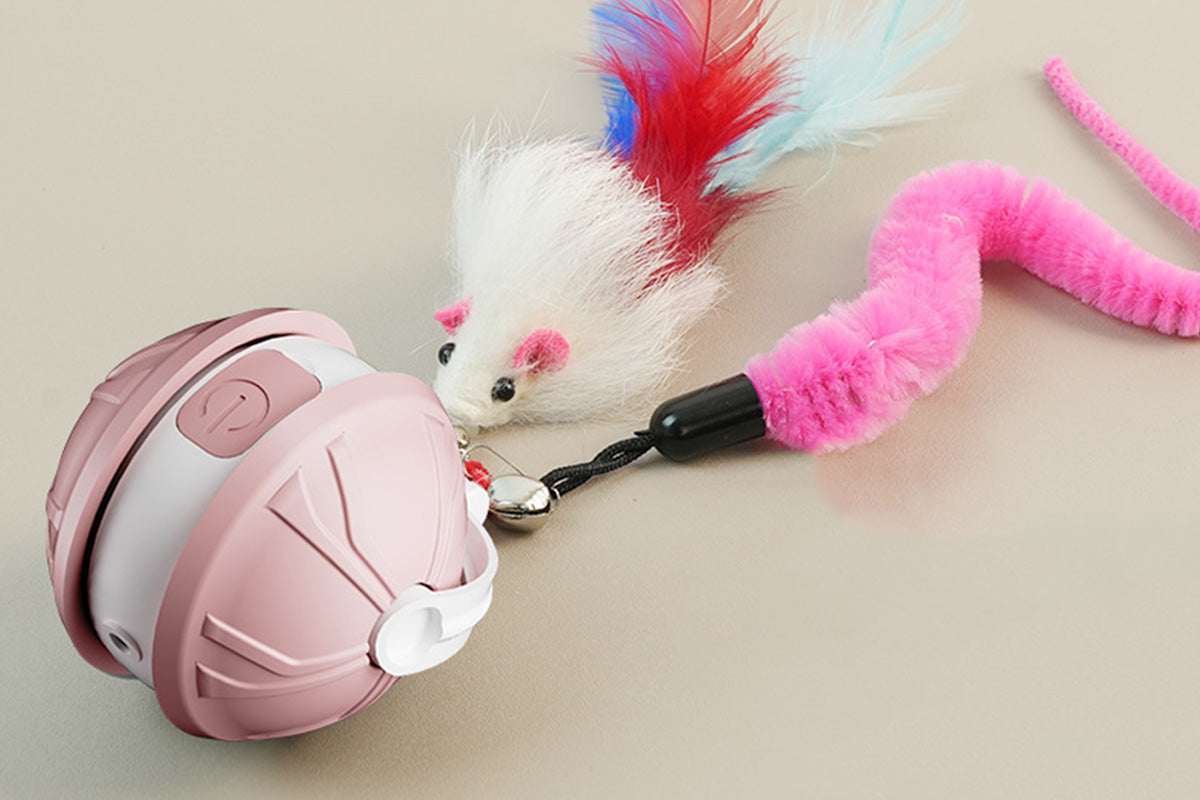 Interactive Dog Toys Electric Automatic Smart Pet Toys Rolling Ball Toys For Small Dogs