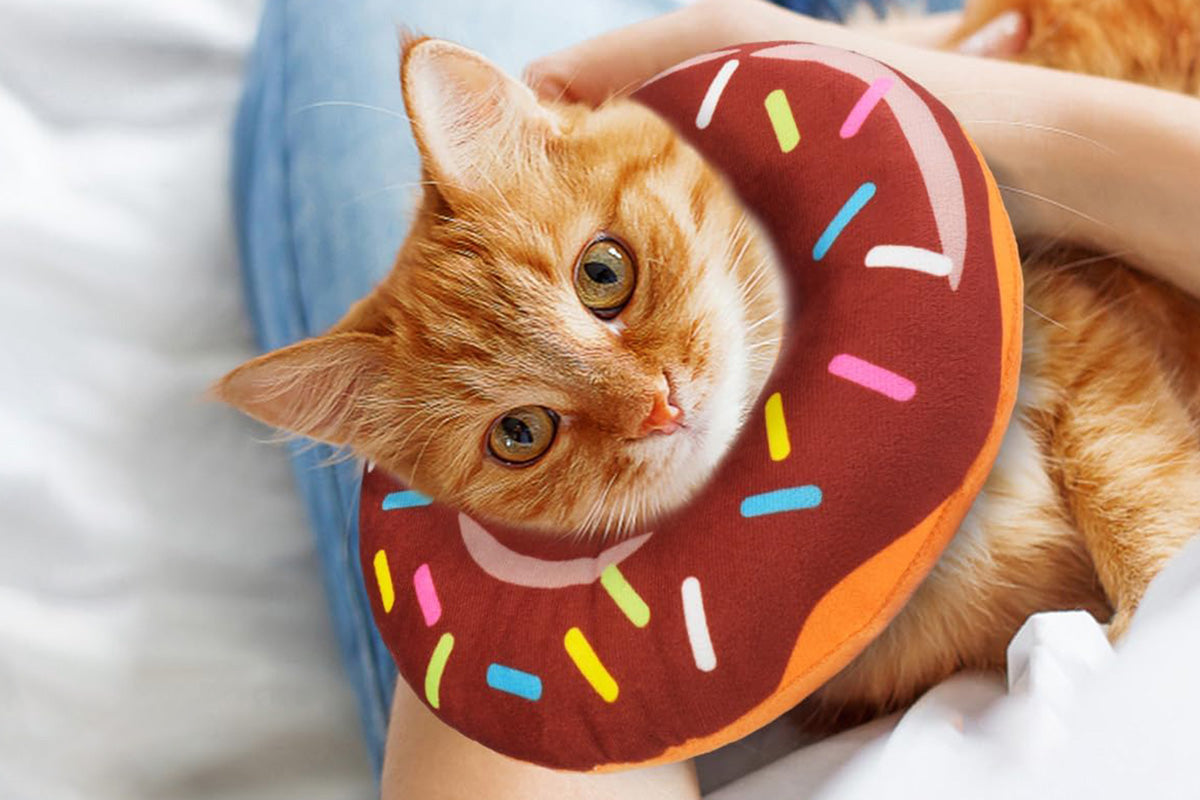 Cat Cone Soft Collar Adjustable Kitten Recovery Cones Cat Donut Collar-Dark Brown
