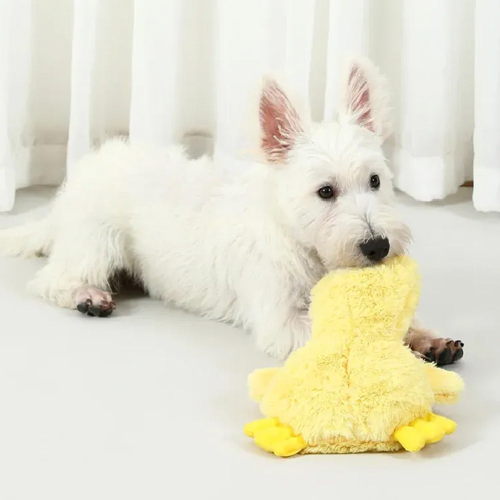 Interactive Dog Chew Toy Small Dog Toys Plush Duck Dog Toy