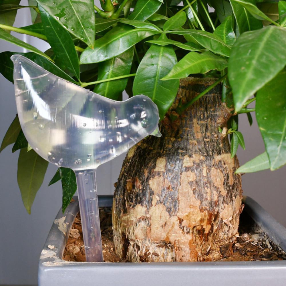 Star Shaped Self Watering Plant Spikes Automatic Watering Stakes for Succulents