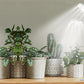 LED Grow Light Dual Head Full Spectrum Adjustable Plant Lamp for Indoor Plants