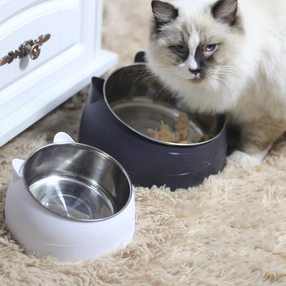 Slanted Stainless Steel Pet Feeder Bowl