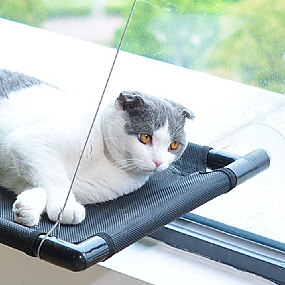 Cat Window Mounted Perch Hammock for Indoor Cats Resting