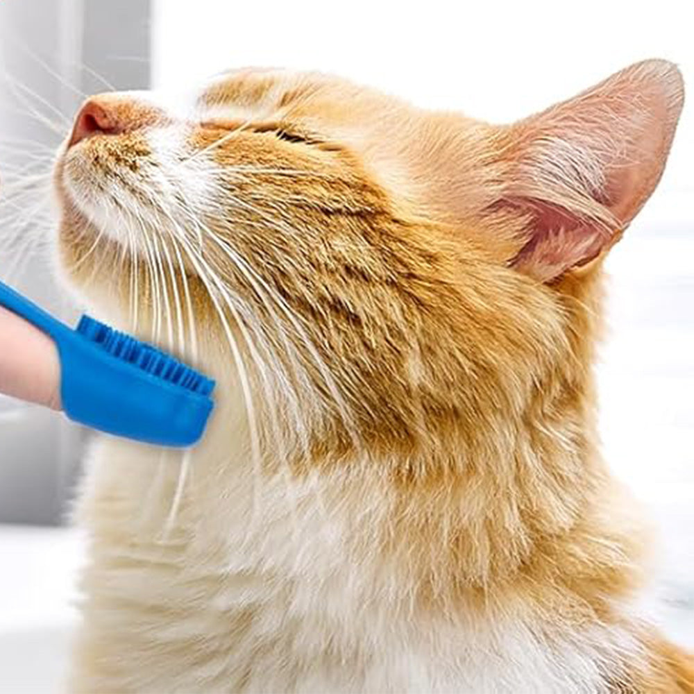 6PCS Pet Grooming Kit Pet Bathing Supplies Dog Washing Gloves Dog Bath Brush Dog Toothbrush Finger