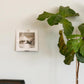 4Pcs Vinyl Wall Mount Record Wall Display Album Wall Mount for 1LP and 2LP