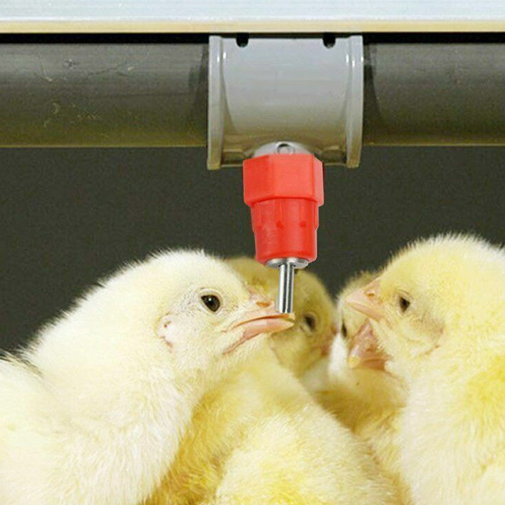 10 Pcs Automatic Poultry Water Nipple Drinkers for Chicken Duck Bird