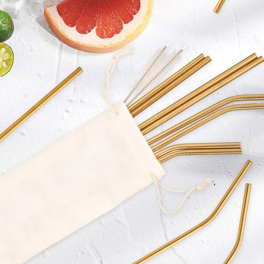 17Pcs Reusable Stainless Steel Straws Set with Cleaning Brushes and Pouch
