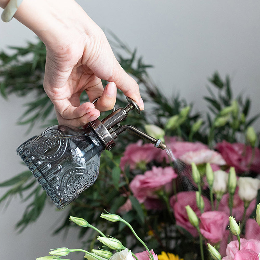 Glass Plant Mister Spray Bottle for Indoor Outdoor House Plant