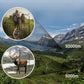 300x25 Folding High Powered Binoculars with Phone Holder