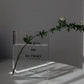 Plastic Clear Book Vase for Flowers Bookshelf Vase Decoration-Clear