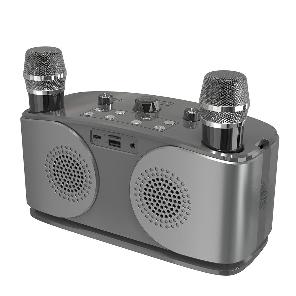 Bluetooth 5.3 Karaoke Machine With 2 Wireless Microphones Bluetooth Karaoke Speaker