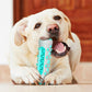 Dog Toothbrush Rubber Bone Chew Toy