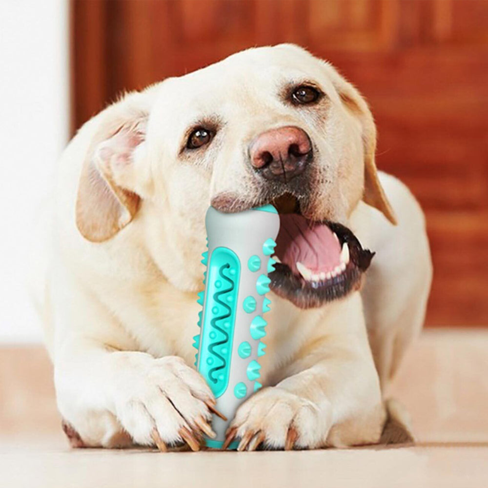 Dog Toothbrush Rubber Bone Chew Toy
