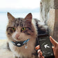 Reflective Pet Airtag Protective Case Collar for Apple Air Tag