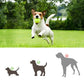 Pet Tennis Ball Toy Automatic Launcher Machine with 3 Balls