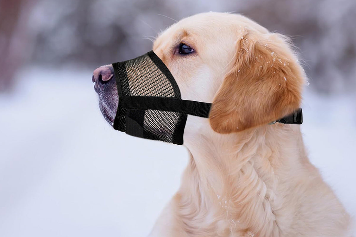Dog Muzzle Air Mesh Adjustable Mouth Guard for Bark and Scavenging Prevention-Black