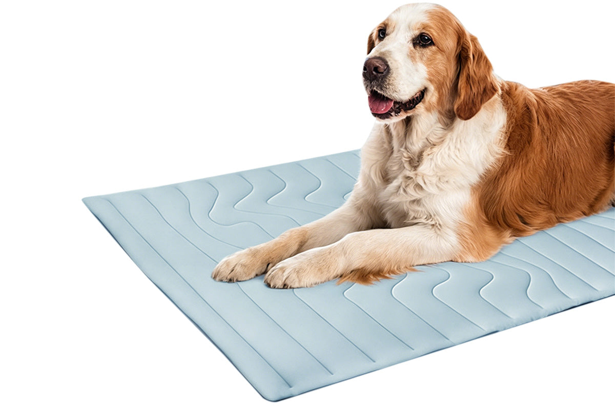 Scratch Resistant Summer Cooling Mat for Pet