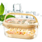 2-Tier Ice Cube Tray Mold with Press-Release Lid and Storage Box for Kitchen