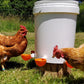 10Pcs Automatic Chicken Drinking Bowl Feeder