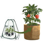 70x70x80cm Pop-up Greenhouse Cover Transparent PVC Mini Small Grow Plant House Tent