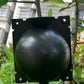 10PCS Plant Rooting High Pressure Propagation Ball Root Grow Grafting Box for Indoor Outdoor Plants
