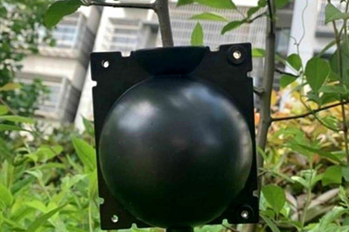 10PCS Plant Rooting High Pressure Propagation Ball Root Grow Grafting Box for Indoor Outdoor Plants