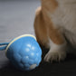 Interactive Dog Toys Touch Activated Bouncing And Jumping Dog Ball With Rope