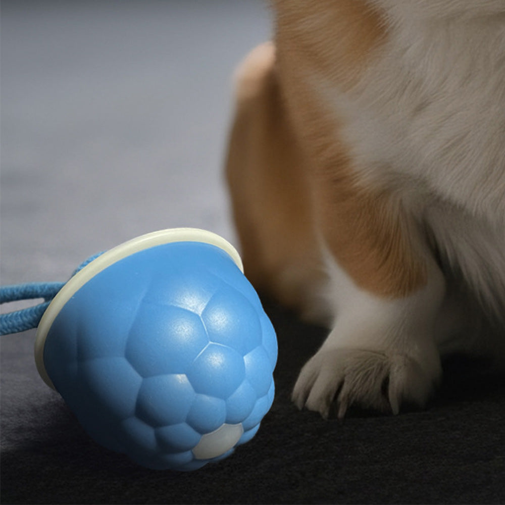 Interactive Dog Toys Touch Activated Bouncing And Jumping Dog Ball With Rope
