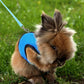 Rabbit Harness and Leash Set Adjustable Breathable Mesh Vest for Bunny Small Pets-Blue